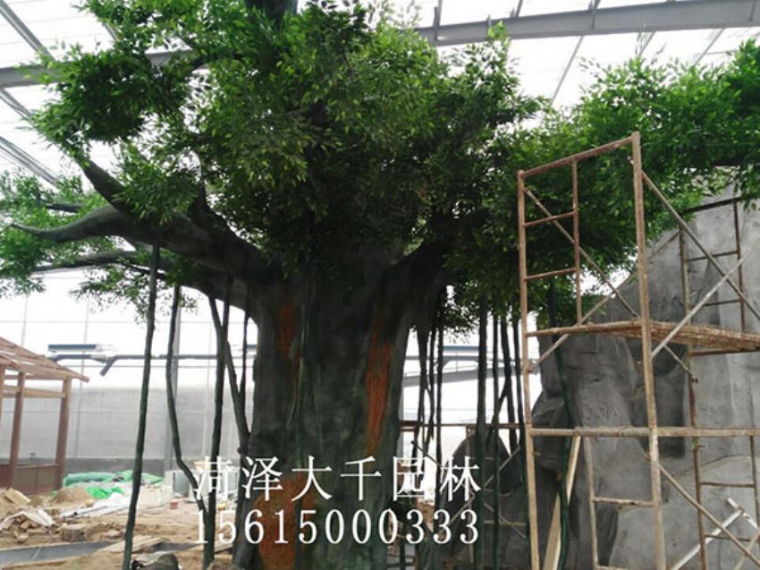 點(diǎn)擊查看詳細(xì)信息<br>標(biāo)題：假樹 閱讀次數(shù)：1366