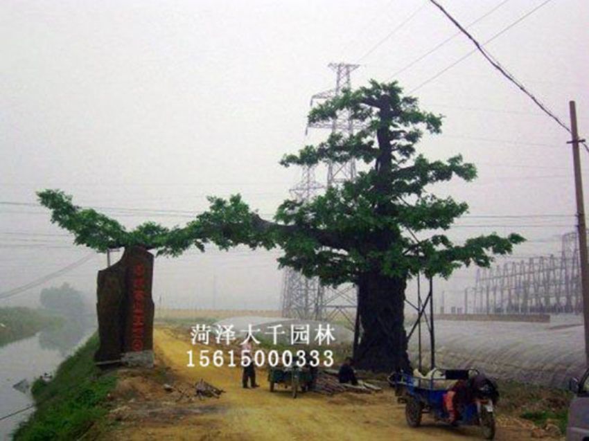 點擊查看詳細信息<br>標題：假樹 閱讀次數(shù)：1284