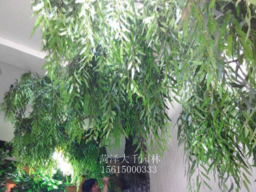點擊查看詳細信息<br>標題：假樹 閱讀次數(shù)：1303
