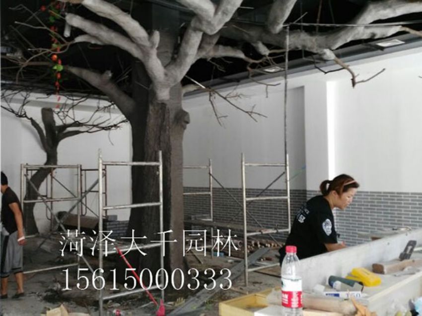 點(diǎn)擊查看詳細(xì)信息<br>標(biāo)題：假樹 閱讀次數(shù)：1300