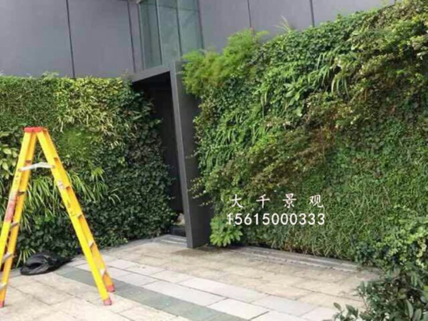 點擊查看詳細信息<br>標題：綠植墻 閱讀次數(shù)：1462