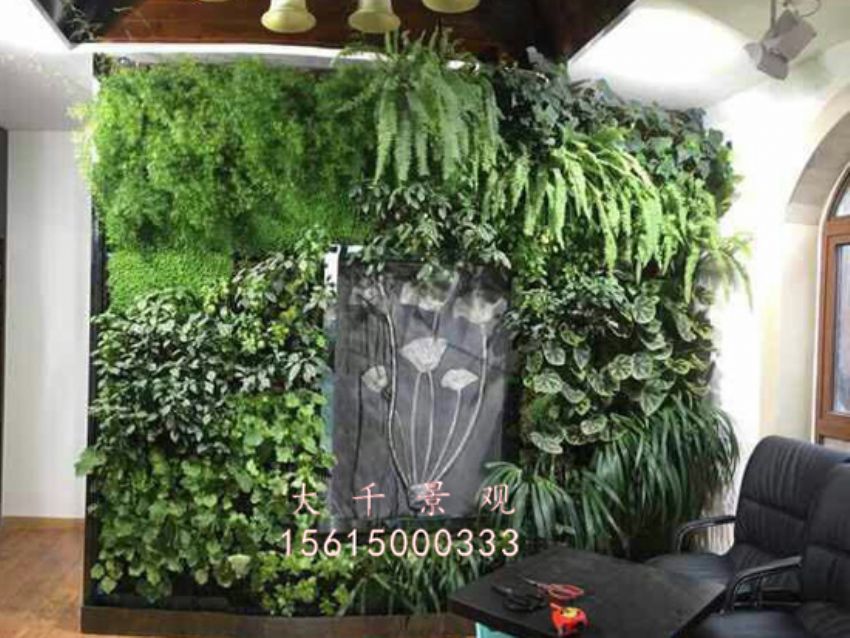點(diǎn)擊查看詳細(xì)信息<br>標(biāo)題：綠植墻 閱讀次數(shù)：1683
