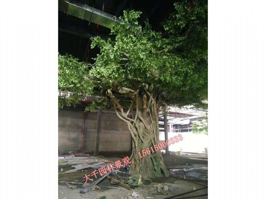 點(diǎn)擊查看詳細(xì)信息<br>標(biāo)題：假樹(shù) 閱讀次數(shù)：1635